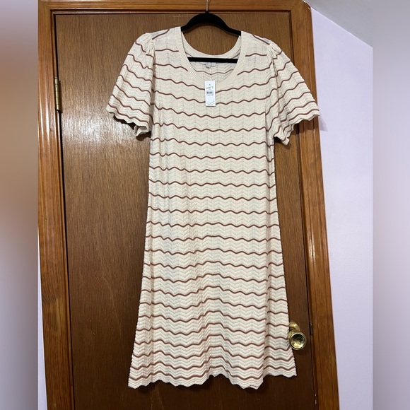 LOFT Dresses & Skirts - NWT Loft Cream and Brown Scalloped A-Line Dress Size Large